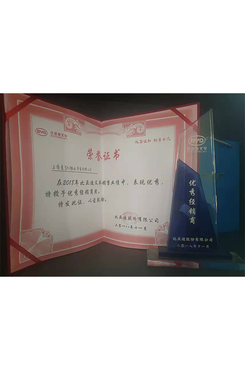 永康市比亚迪2018优秀经销商